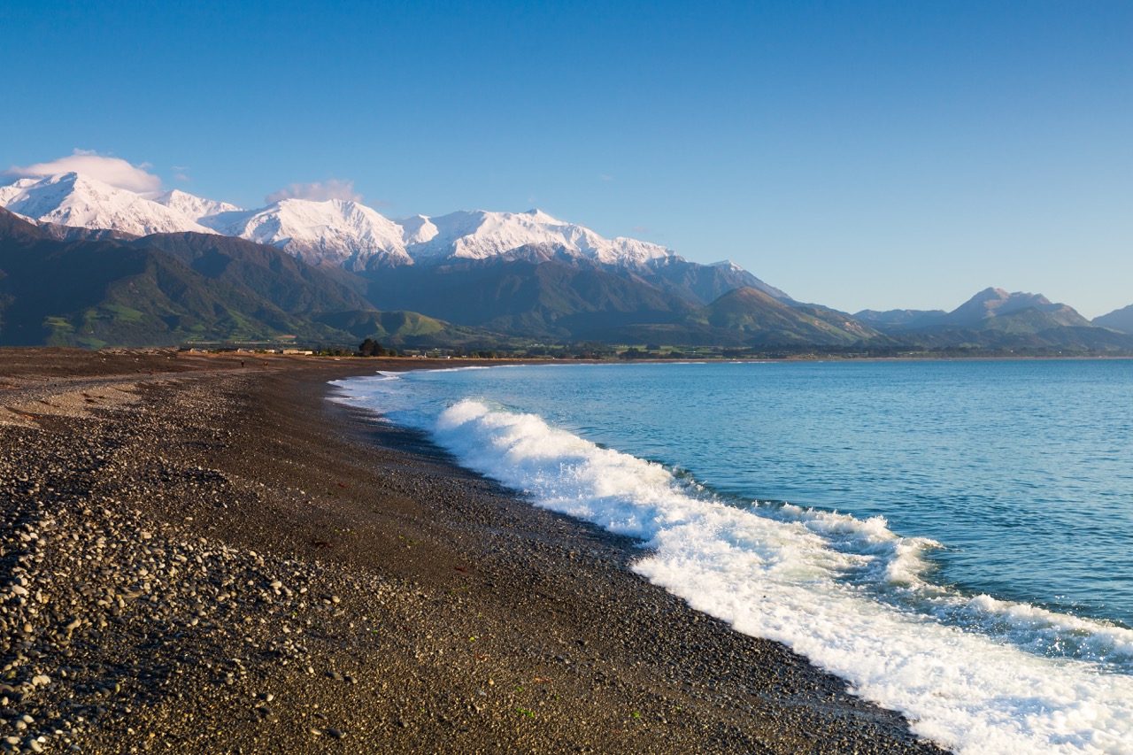 Kaikoura Coast with Sperm Whales